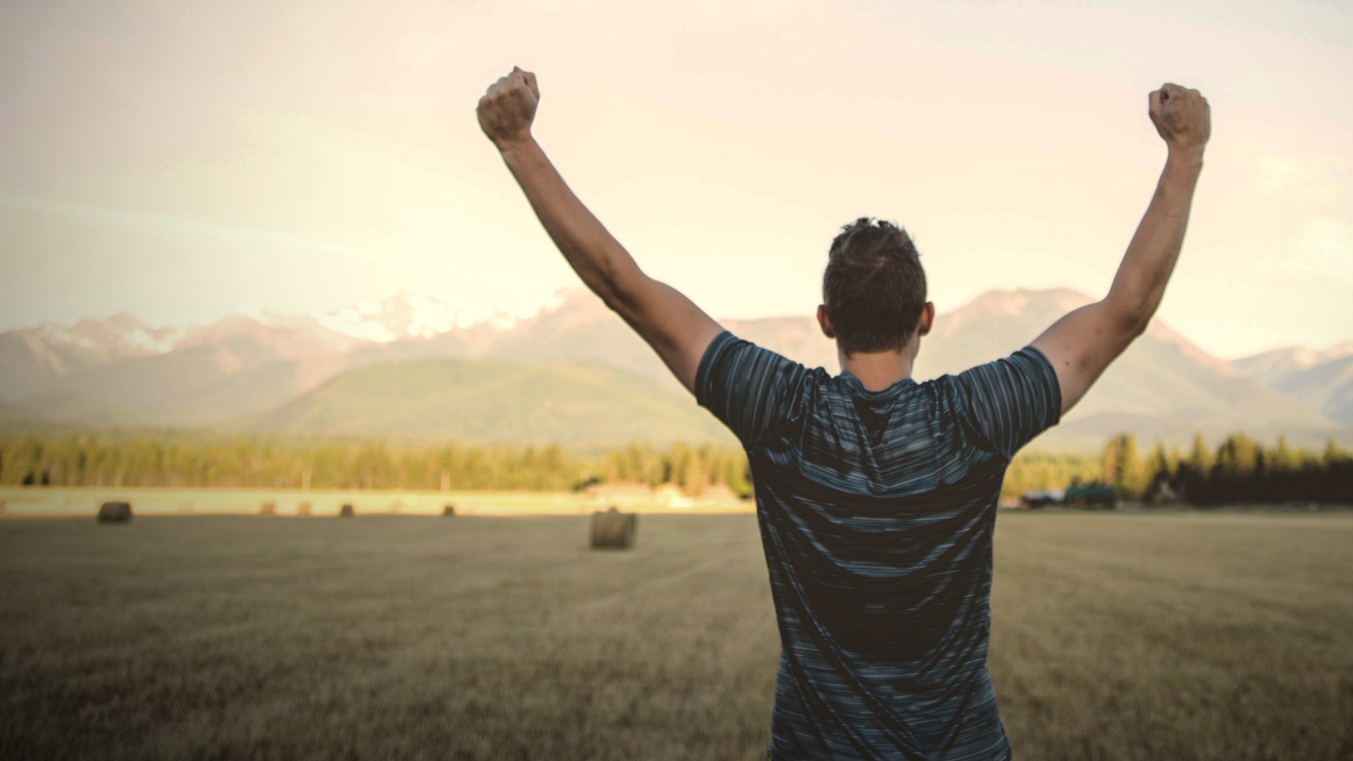 People working on laptops